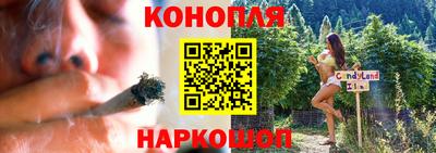шишки Дубна