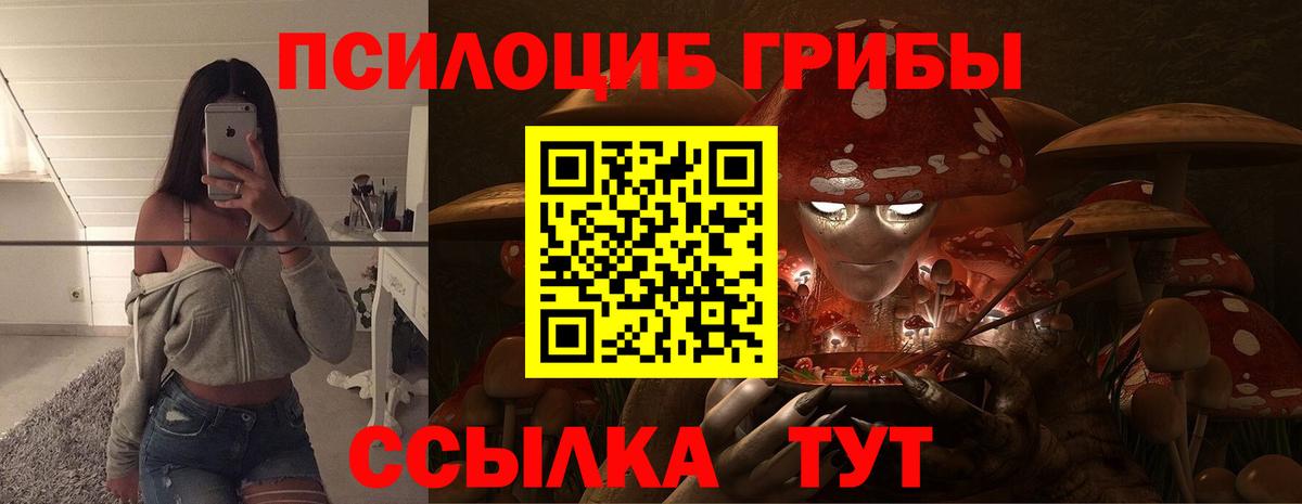Галлюциногенные грибы Magic Shrooms Новоалтайск